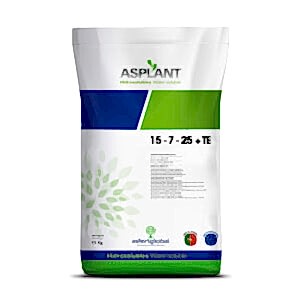 ASPLANT 15-7-25 + TE