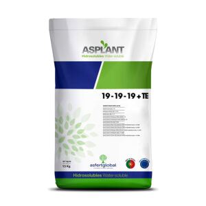 ASPLANT 19-19-19 + TE