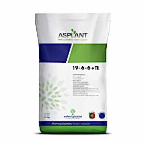 ASPLANT 19-6-6 + TE