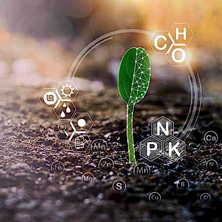 Mucizevi çözümler ile toprağınıza ve bitkilerinize can verin.