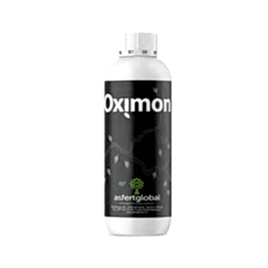OXİMON