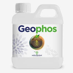 GEOPHOS