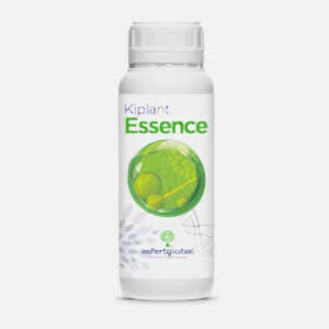 KİPLANT ESSENCE