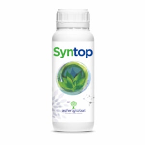 SYNTOP
