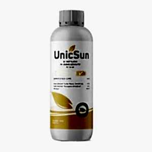 UNİC SUN