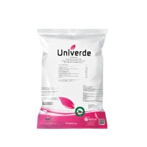 UNİVERDE