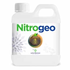 NitroGEO